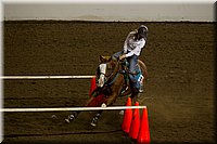 4H-State-2016-0378.jpg