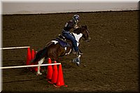 4H-State-2016-0398.jpg