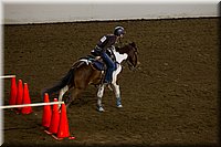 4H-State-2016-0399.jpg