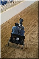 4H-State-2016-0040.jpg