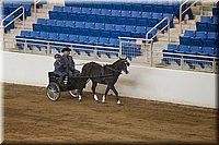 4H-State-2016-0041.jpg