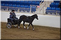 4H-State-2016-0044.jpg