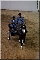 4H-State-2016-0047.jpg