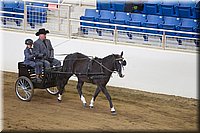 4H-State-2016-0049.jpg