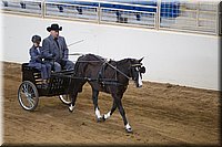 4H-State-2016-0050.jpg