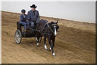 4H-State-2016-0051.jpg