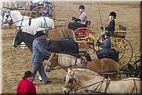 4H-State-2016-0054.jpg