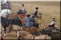 4H-State-2016-0057.jpg