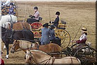 4H-State-2016-0058.jpg