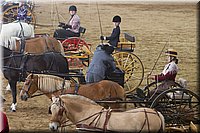 4H-State-2016-0059.jpg