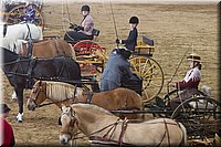 4H-State-2016-0060.jpg