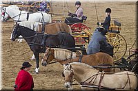 4H-State-2016-0061.jpg