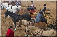 4H-State-2016-0062.jpg