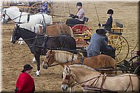 4H-State-2016-0063.jpg