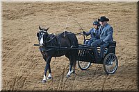 4H-State-2016-0064.jpg