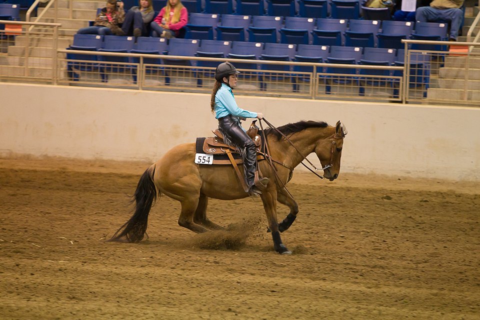 4H-State-2016-0767.jpg