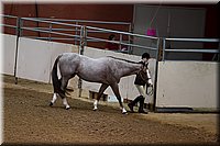 4H-State-2016-1137.jpg