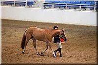 4H-State-2016-1142.jpg