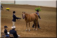 4H-State-2016-1146.jpg