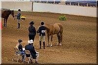 4H-State-2016-1148.jpg