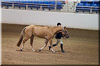 4H-State-2016-1151.jpg