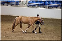 4H-State-2016-1152.jpg