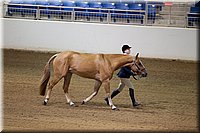 4H-State-2016-1153.jpg