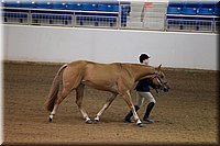 4H-State-2016-1154.jpg