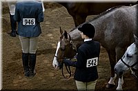 4H-State-2016-1157.jpg