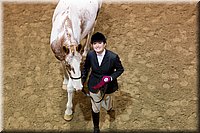 4H-State-2016-1178.jpg