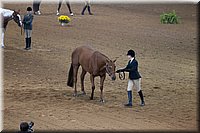 4H-State-2016-1202.jpg