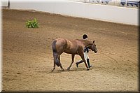 4H-State-2016-1204.jpg