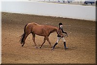 4H-State-2016-1206.jpg