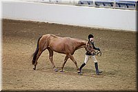 4H-State-2016-1207.jpg