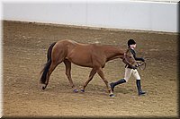 4H-State-2016-1209.jpg