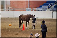 4H-State-2016-1211.jpg