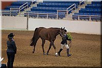 4H-State-2016-1212.jpg