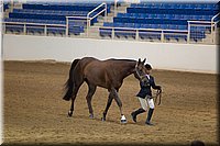 4H-State-2016-1213.jpg