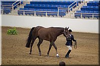 4H-State-2016-1214.jpg