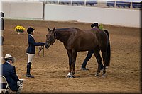 4H-State-2016-1219.jpg