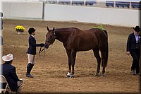 4H-State-2016-1220.jpg