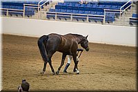 4H-State-2016-1222.jpg