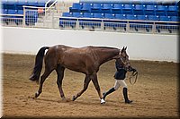 4H-State-2016-1223.jpg