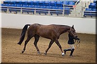 4H-State-2016-1224.jpg