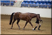 4H-State-2016-1225.jpg