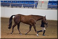 4H-State-2016-1226.jpg