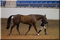 4H-State-2016-1227.jpg