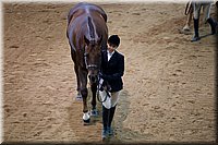 4H-State-2016-1234.jpg