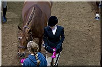 4H-State-2016-1240.jpg