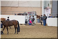 4H-State-2016-1243.jpg